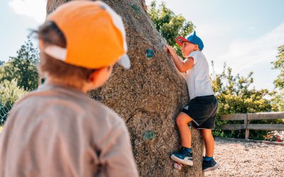 pixeltypen_rodelbahn-st.englmar_20250630_707265