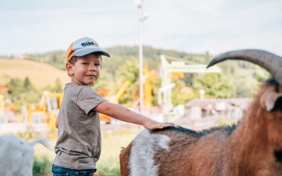 pixeltypen_rodelbahn-st.englmar_20250630_707557