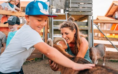 pixeltypen_rodelbahn-st.englmar_20250630_707568