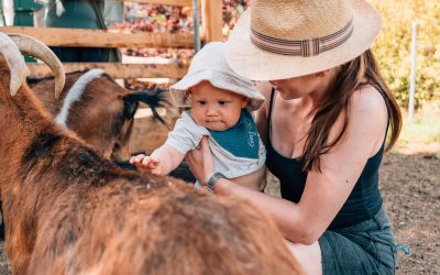 pixeltypen_rodelbahn-st.englmar_20250630_707611