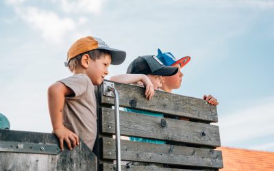 pixeltypen_rodelbahn-st.englmar_20250630_707624