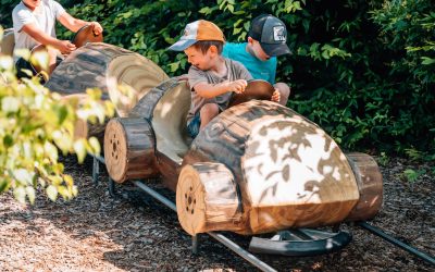 pixeltypen_rodelbahn-st.englmar_20250630_707729