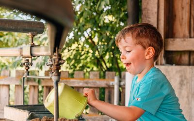 pixeltypen_rodelbahn-st.englmar_20250630_708006