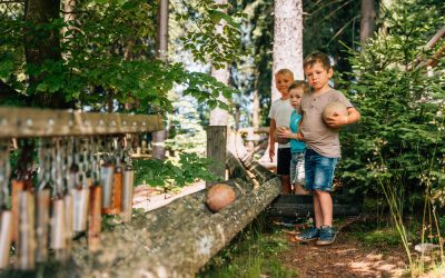 pixeltypen_rodelbahn-st.englmar_20250630_708377