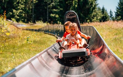 pixeltypen_rodelbahn-st.englmar_20250630_708990