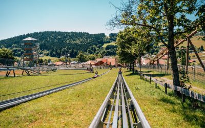 pixeltypen_rodelbahn-st.englmar_20250630_709140