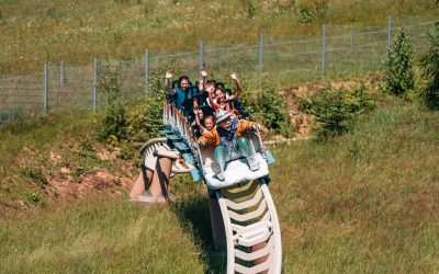 pixeltypen_rodelbahn-st.englmar_20250630_709659